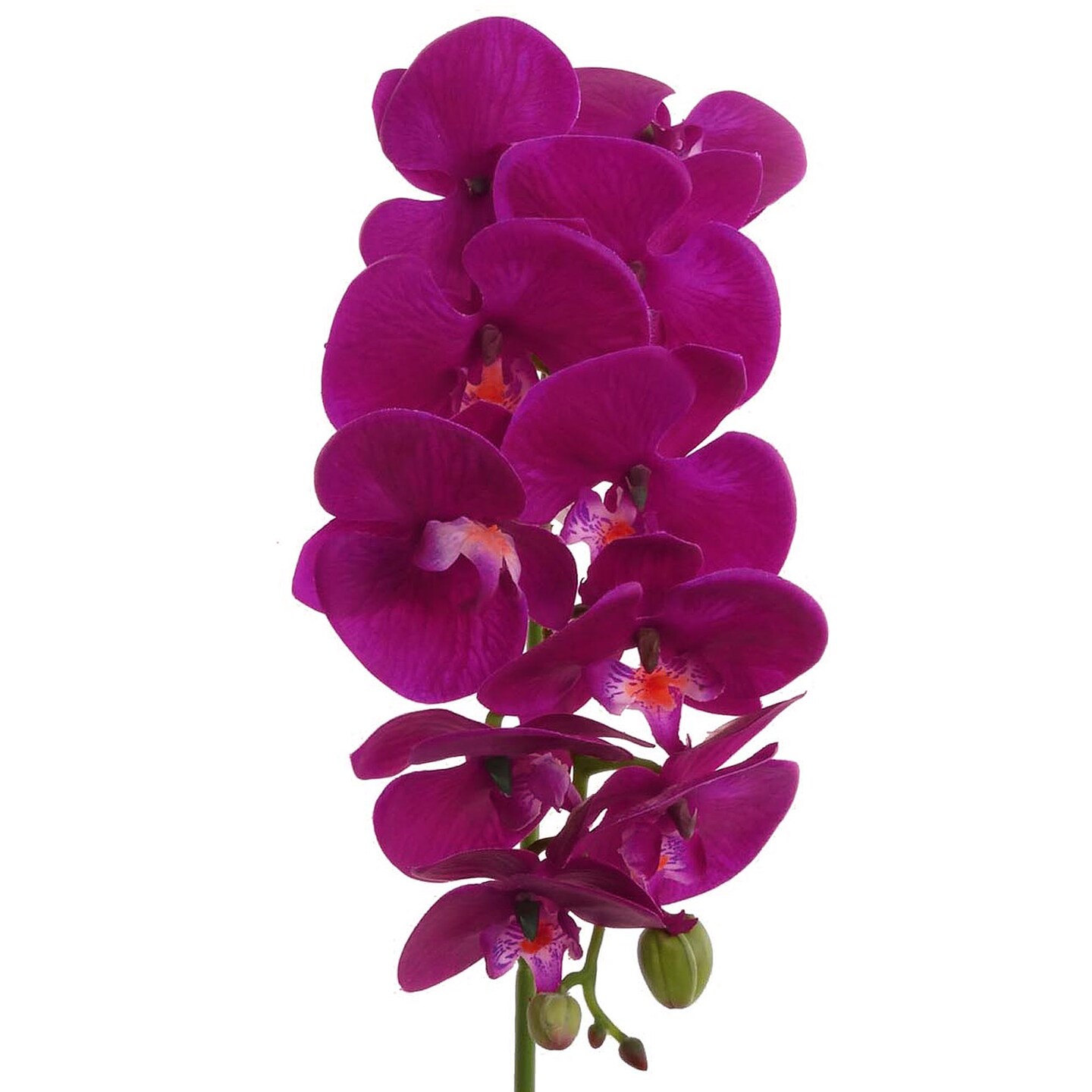 Real Touch Purple Phalaenopsis Orchid Stem by Floral Home&#xAE;