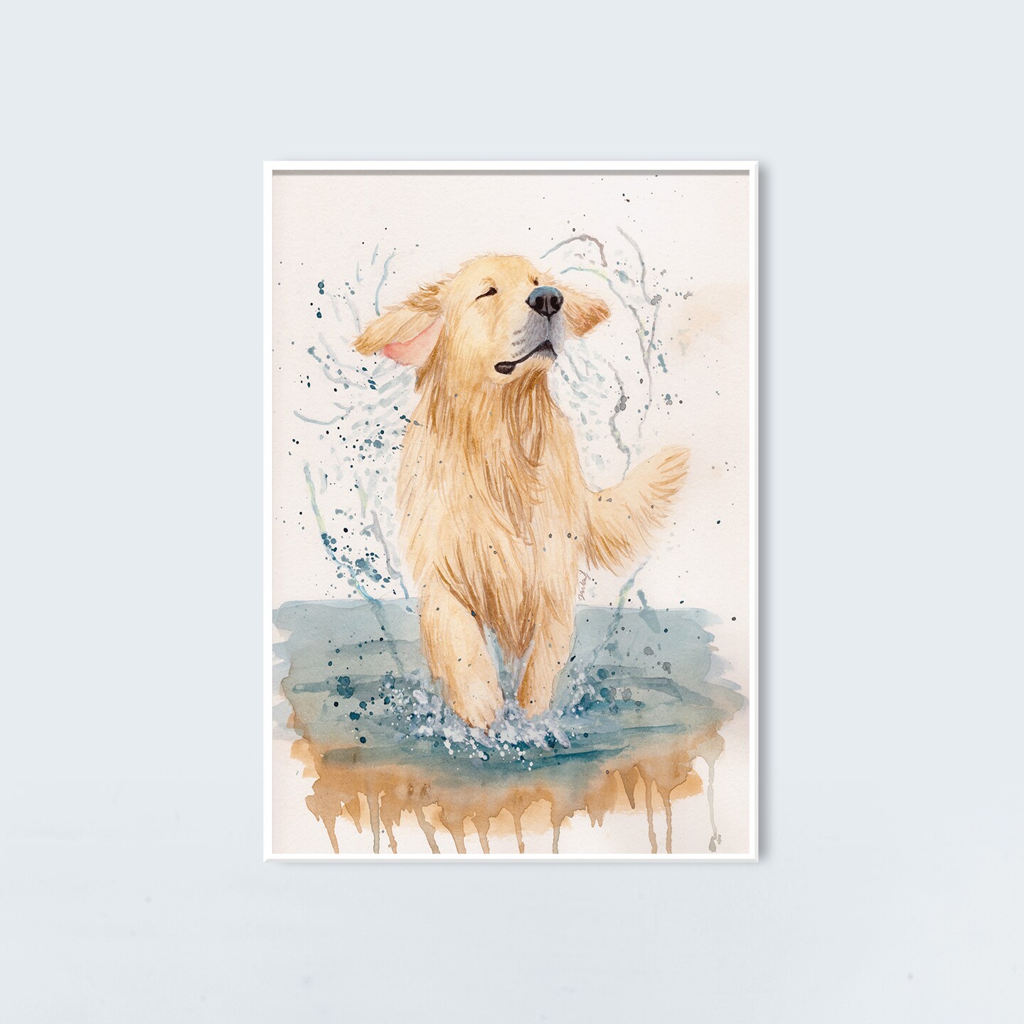 Golden Retriever Splashing 9x12