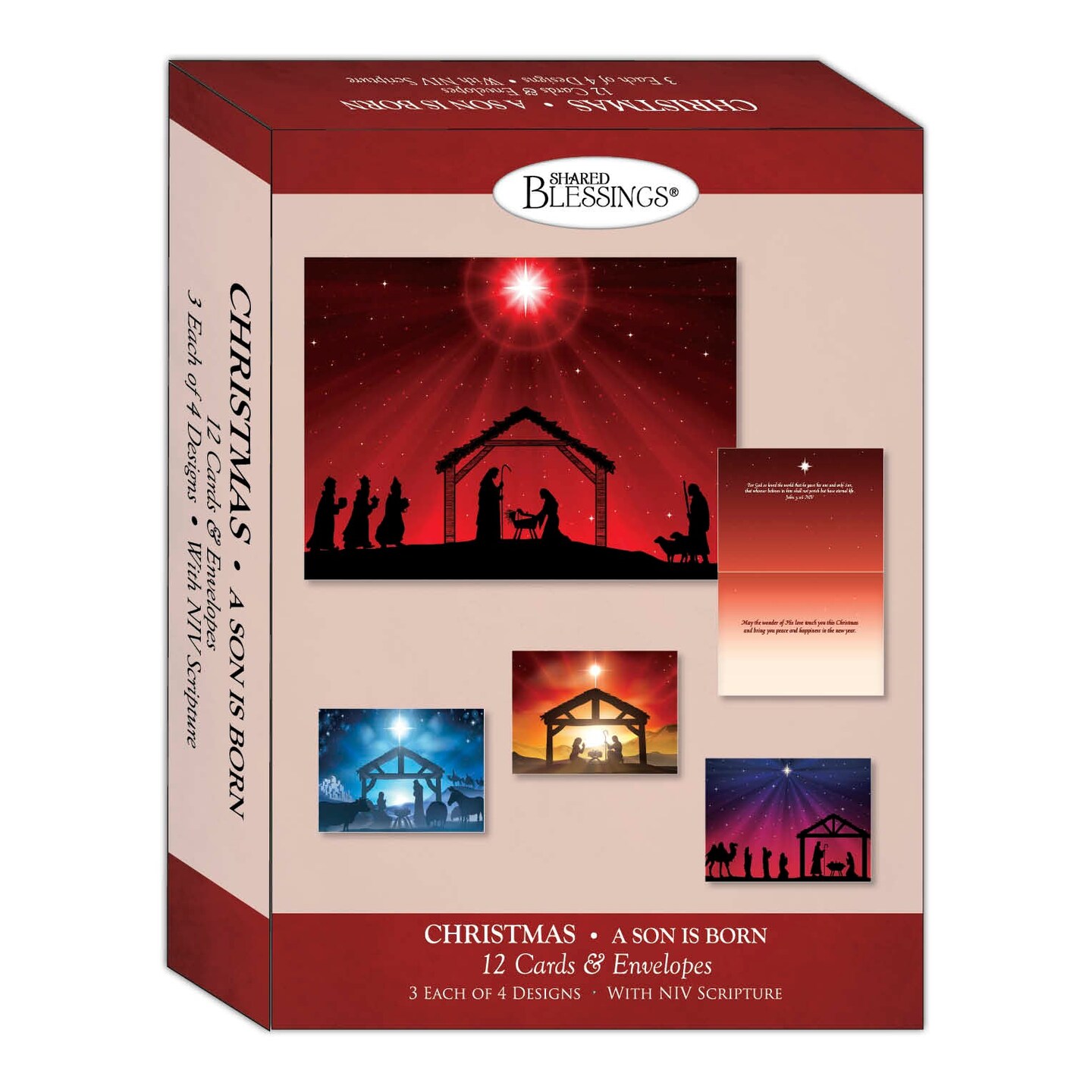 Boxed Christmas Card Assortment - A Son is Born, 12 NIV Cards and Envelopes