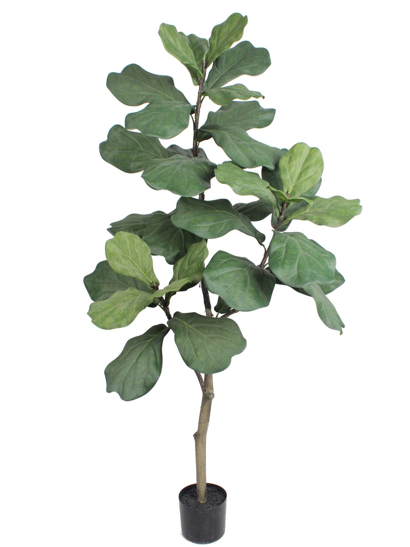 5ft Fiddle Tree in Black Pot with 34 Silk Leaves by Floral Home&#xAE;