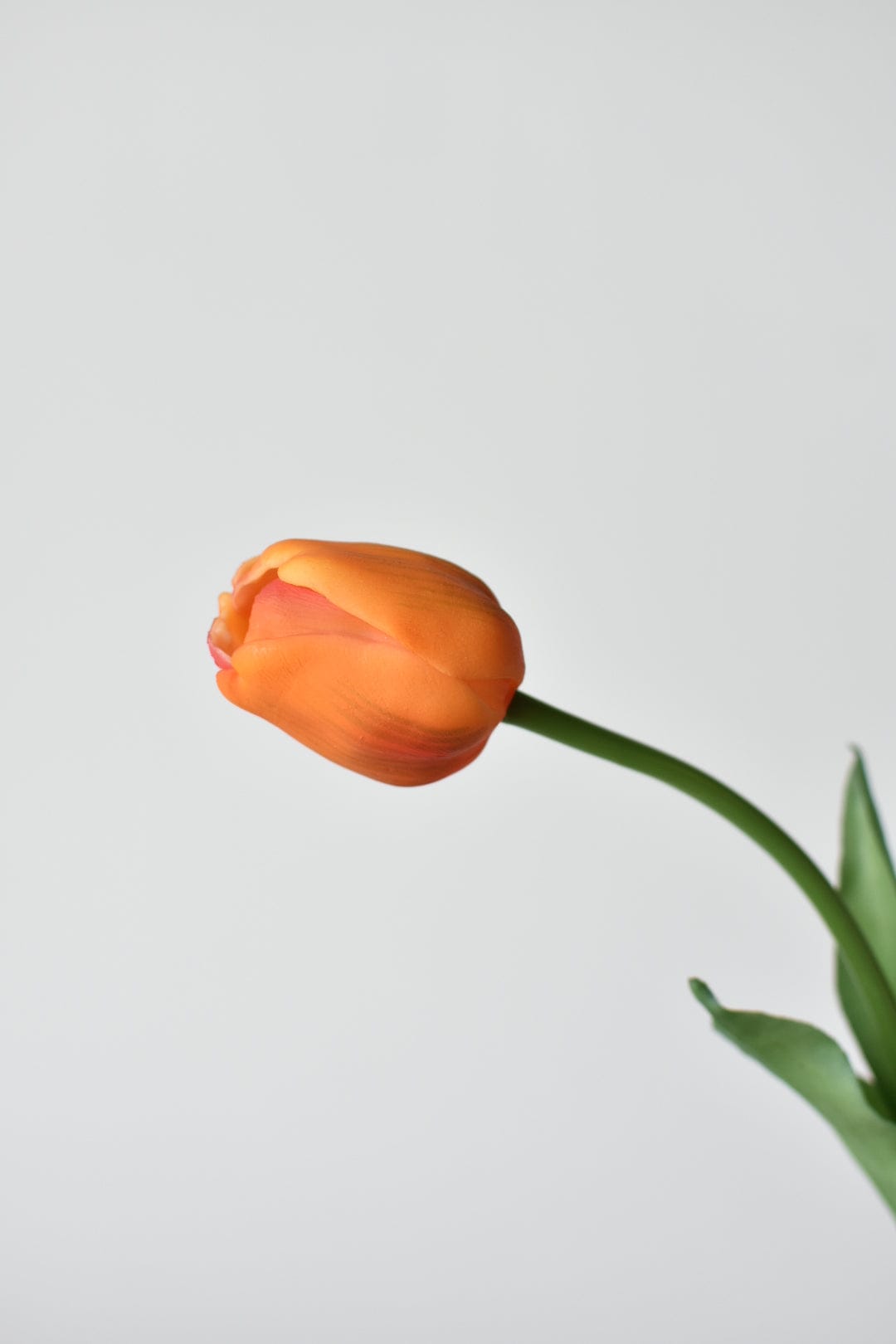 17&#x22; Faux Real Touch Orange Tullip Stem