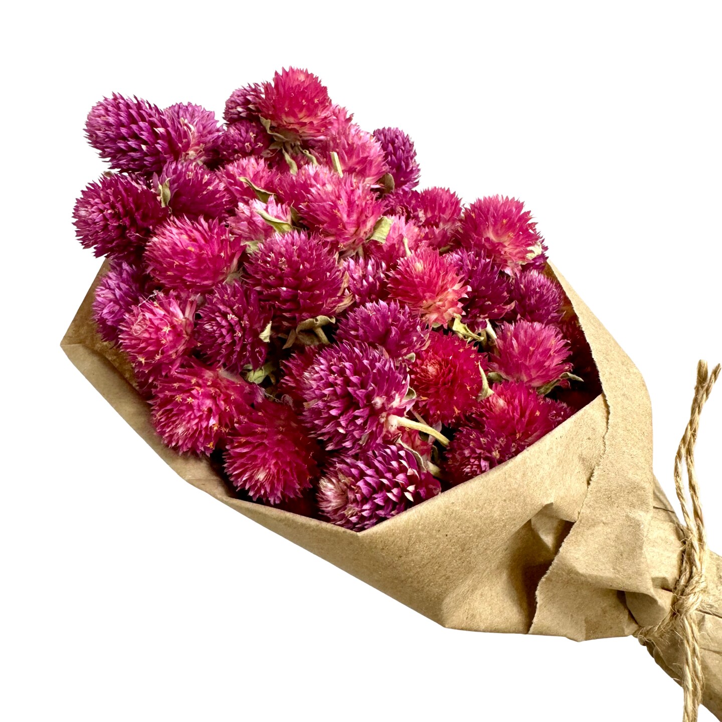 11&#x22; Dried Pink and Purple Globe Amaranth Mini Bouquet