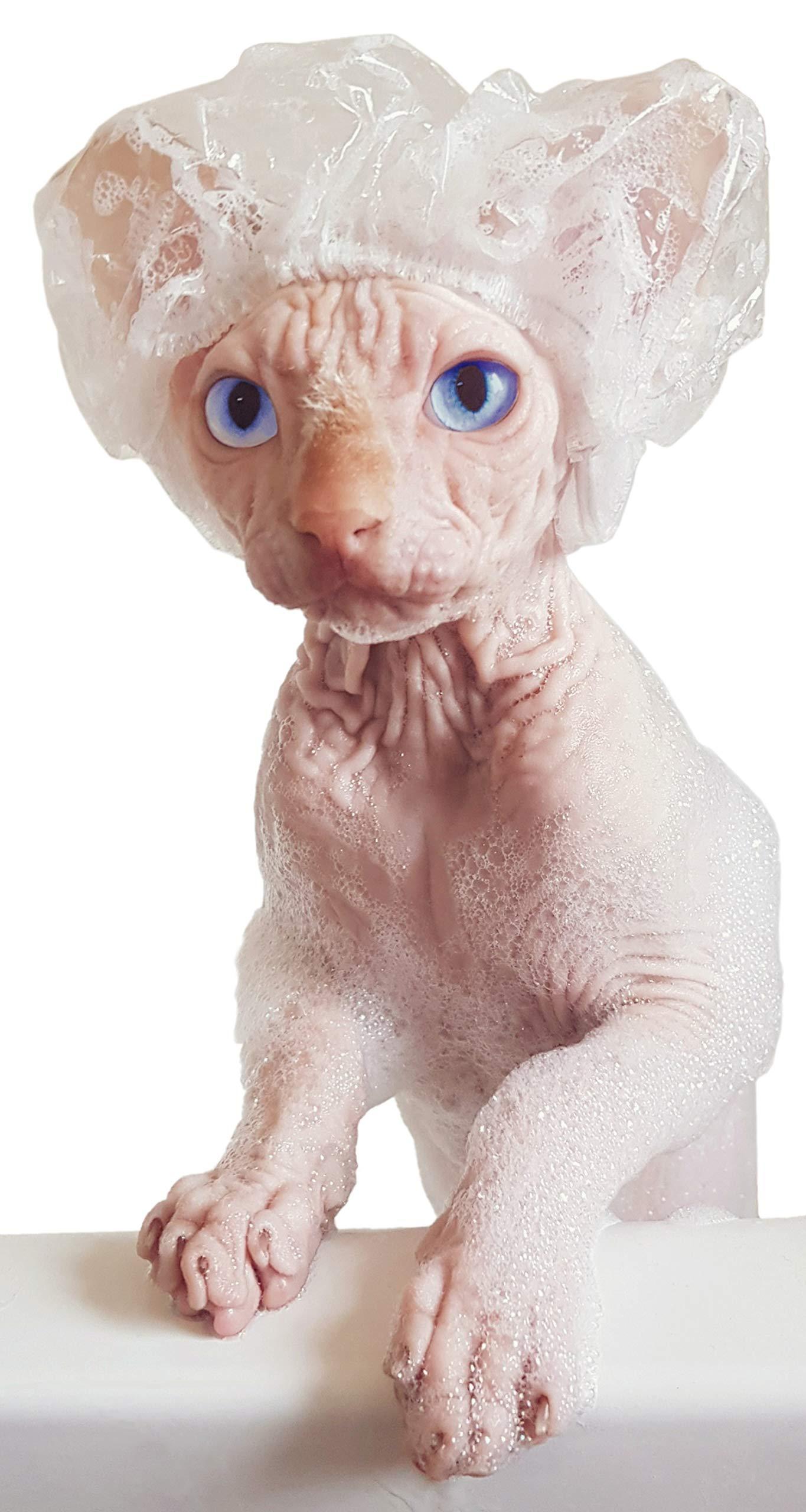 Kotomoda Shower Caps for Sphynx Cats and Small Pets 20pcs