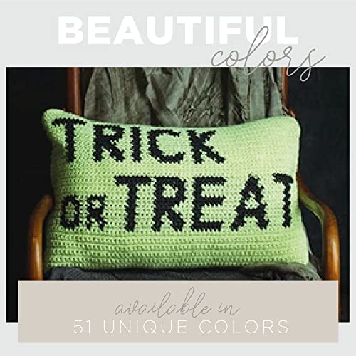 Lion Brand Yarn Basic Stitch Anti-Pilling Knitting Yarn, Yarn for Crocheting, Ecru, 555 Foot (Pack of 1)