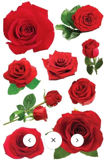 Paper House Roses Dimensional Stickers Michaels