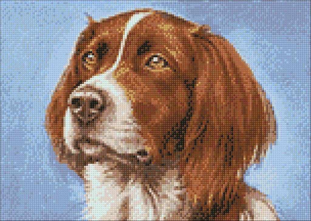 Diamond Painting Furry Friends In Bloom – Diamonds Wizard