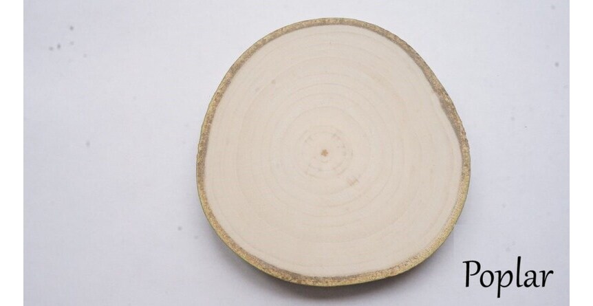Wood best sale slices michaels