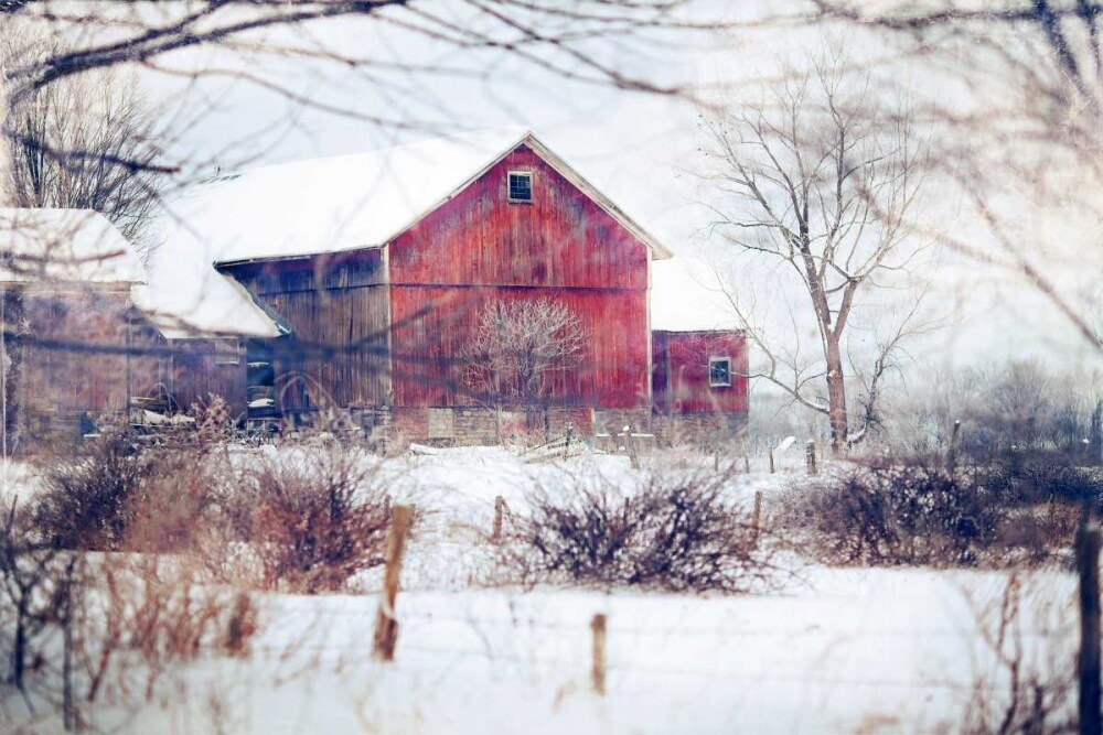 Winter Barn Poster Print by Kelly Poynter - Item # VARPDX10489K
