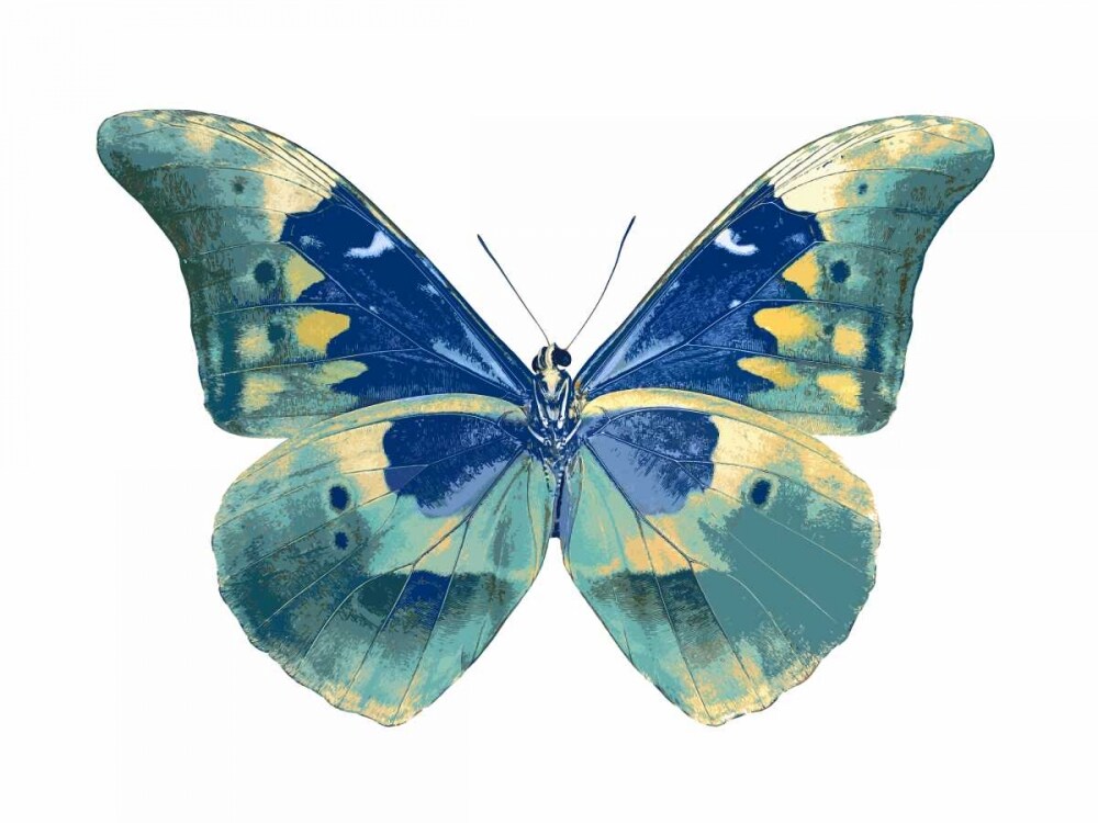 Butterfly in Aqua I Poster Print by Julia Bosco # JBC113358