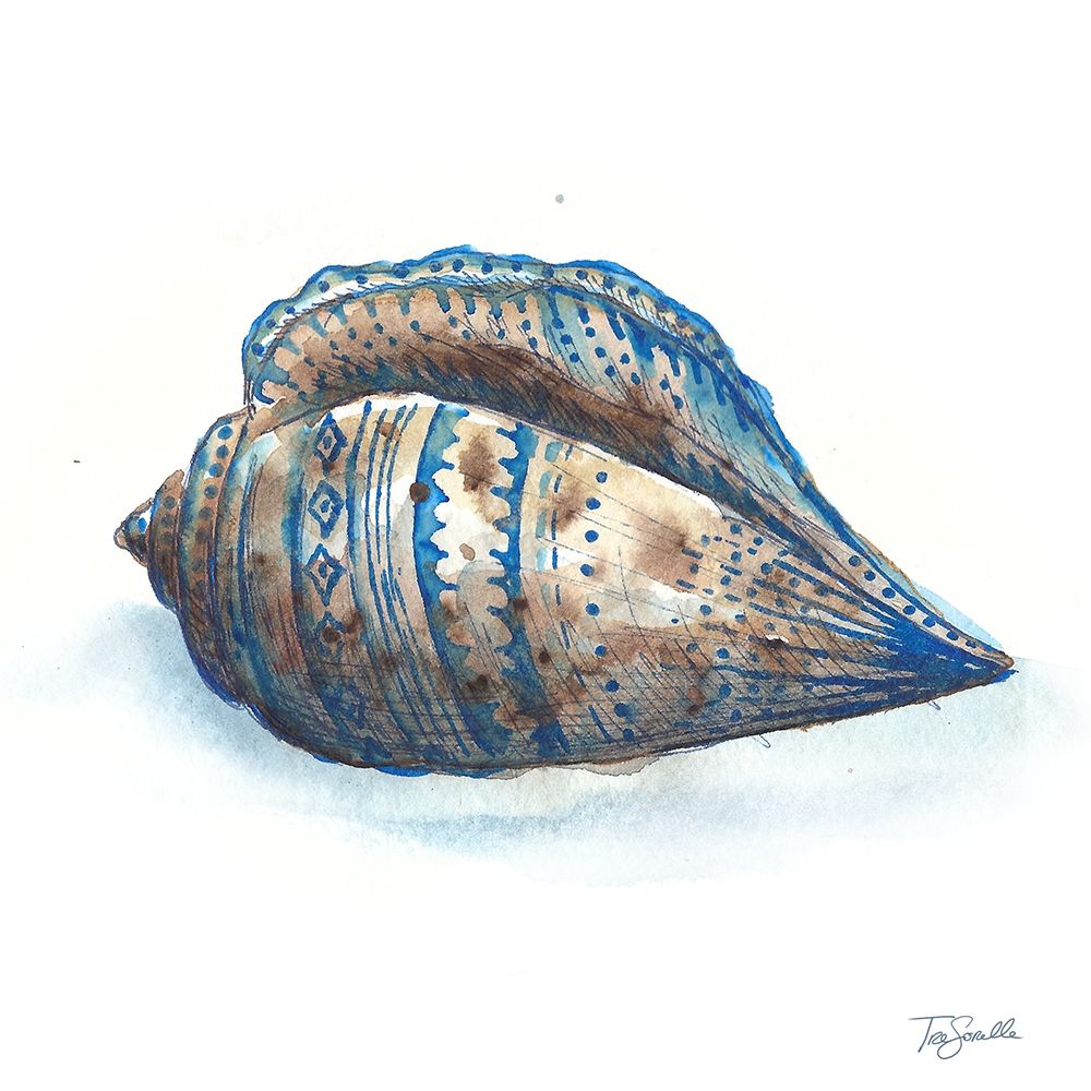 Bohemian Shells II Poster Print by Tre Sorelle Studios - Item # VARPDXRB12703TS