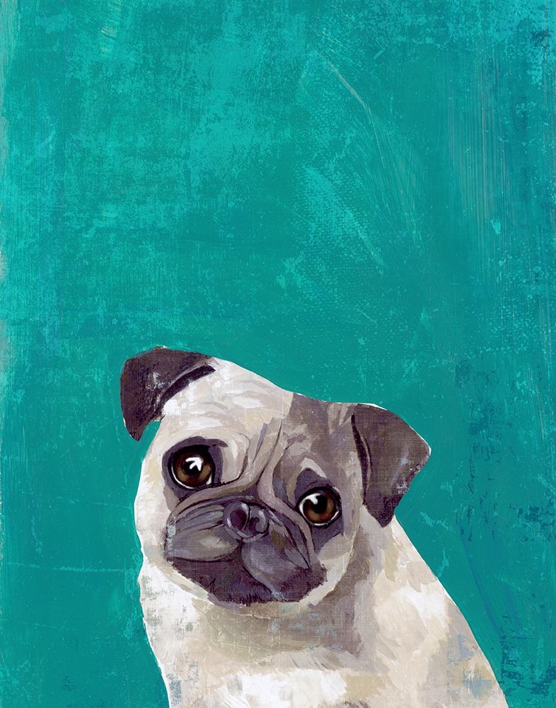 Pug Puppy  Poster Print by PI Studio  PI Studio  - Item # VARPDXPA990AF