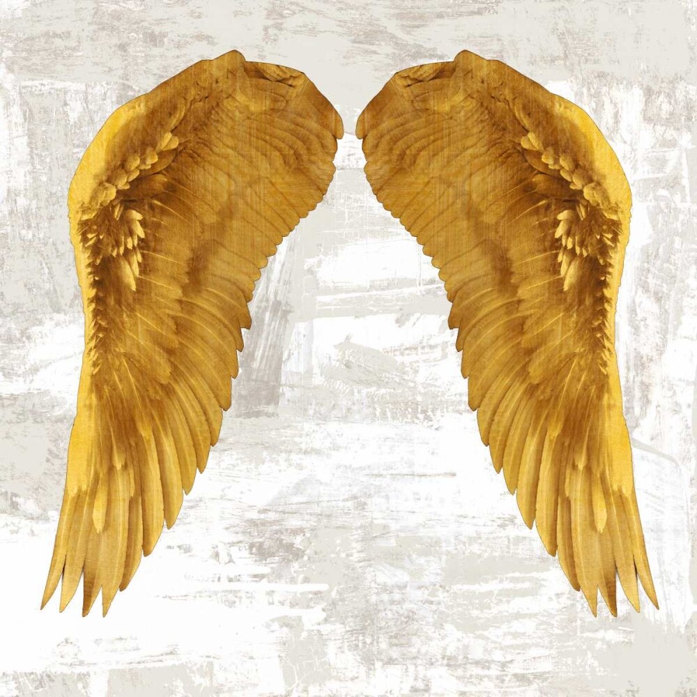 Angel Wings IV Poster Print by Joannoo - Item # VARPDX1JO4011