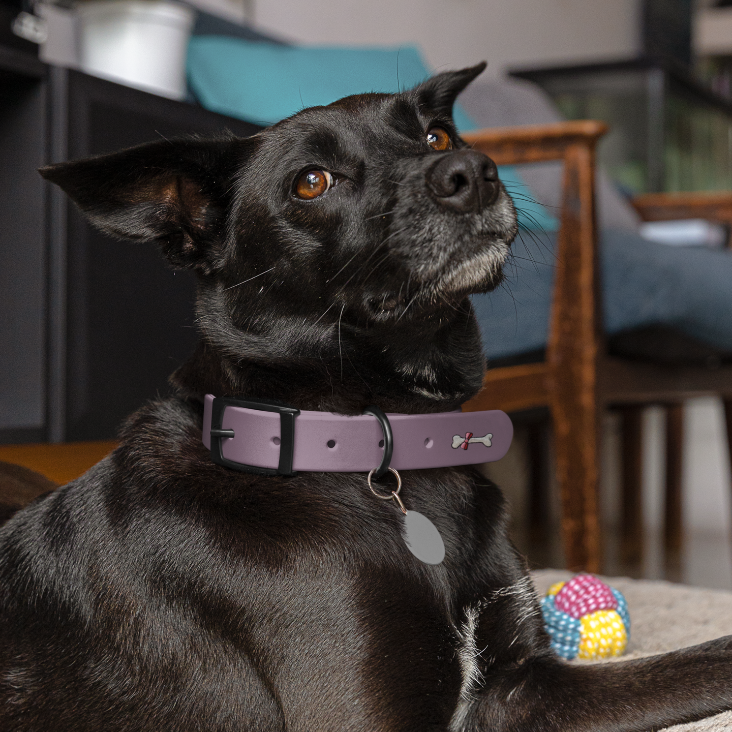 White Bone with Pink Bow, Pet Food, Dog Bones, Embroidered, Iron on Patch