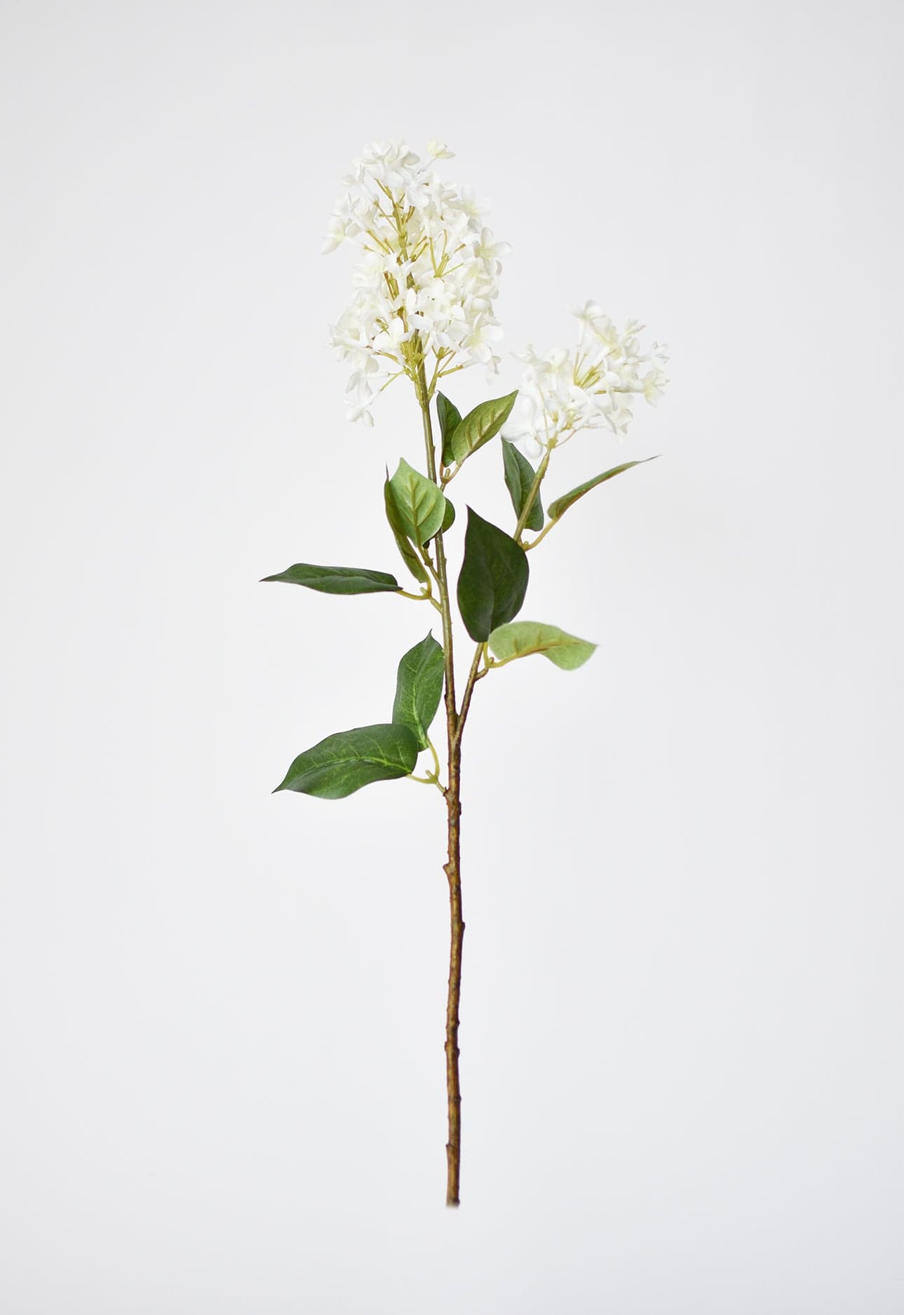 28.5&#x22; Faux White English Lilac Stem