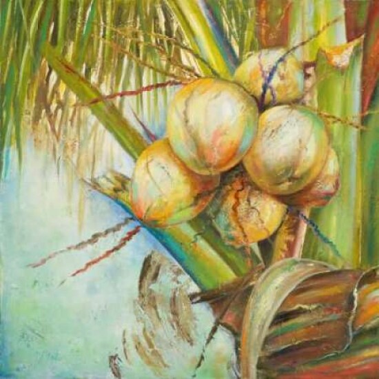 Patricias Coconuts II Poster Print by Patricia Pinto - Item # VARPDX9386