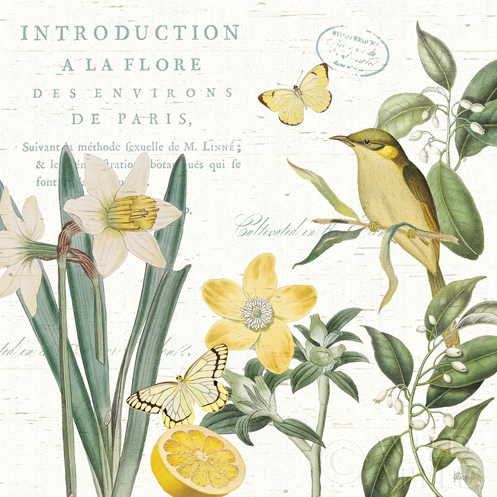 Citron Curiosities Iii Poster Print by Katie Pertiet - Item # VARPDX36938