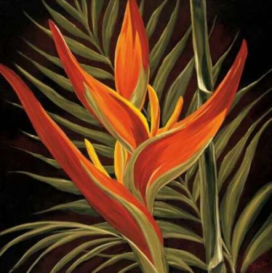 Birds of Paradise I Poster Print by Yvette St. Amant - Item # VARPDX5525