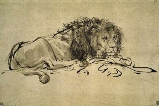 Lion Poster Print by  Rembrandt Van Rijn - Item # VARPDX283131