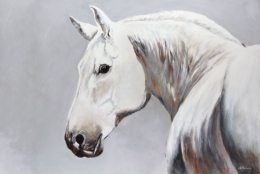 Cheval Blanc Poster Print by Aziz Kadmiri - Item # VARPDXPOD60331