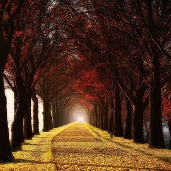 Wonder Curve Poster Print by Lars Van de Goor - Item # VARPDX14448