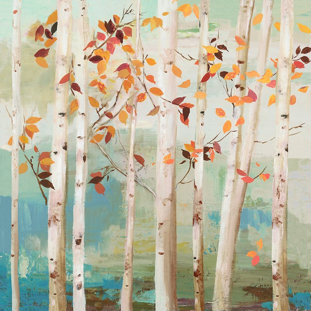 Fall Birch Trees Poster Print by Allison Pearce - Item # VARPDXPS227A