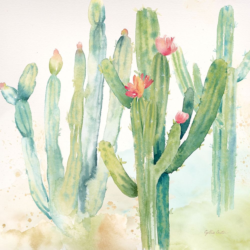 Cactus Garden Ii Poster Print by Cynthia Coulter - Item # VARPDXRB12062CC