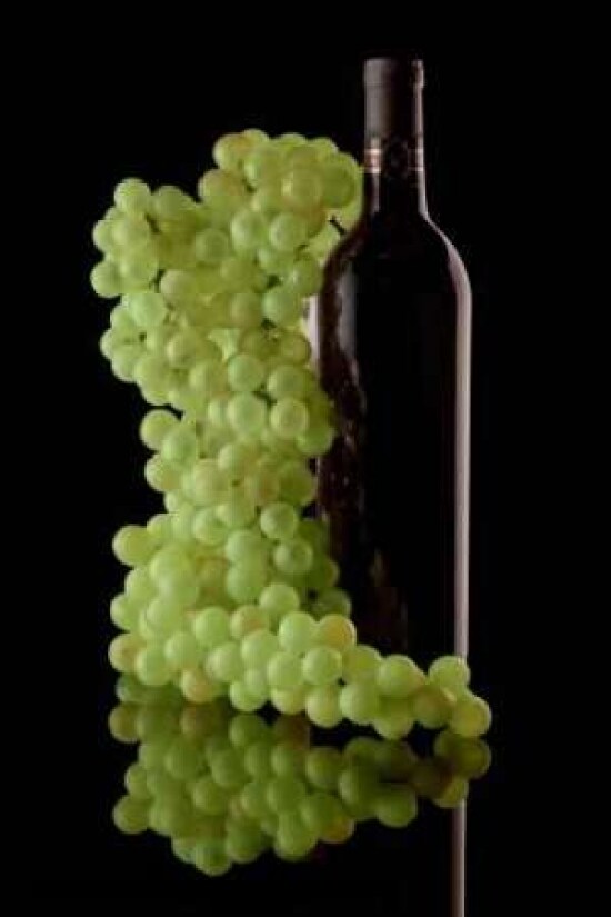 Wine Reflections III Poster Print by C. Thomas McNemar - Item # VARPDXPSMNR111