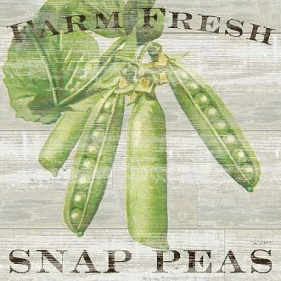 Farm Fresh Peas Poster Print by Sue Schlabach - Item # VARPDX20841