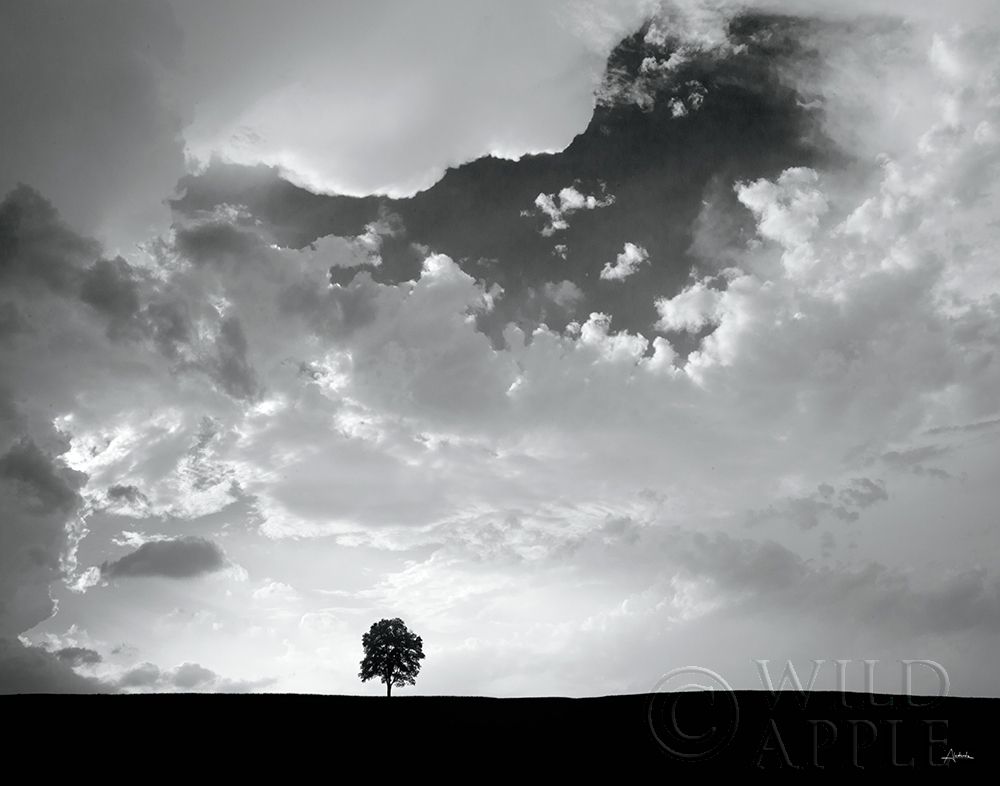 Lone Tree Poster Print by Aledanda - Item # VARPDX10151