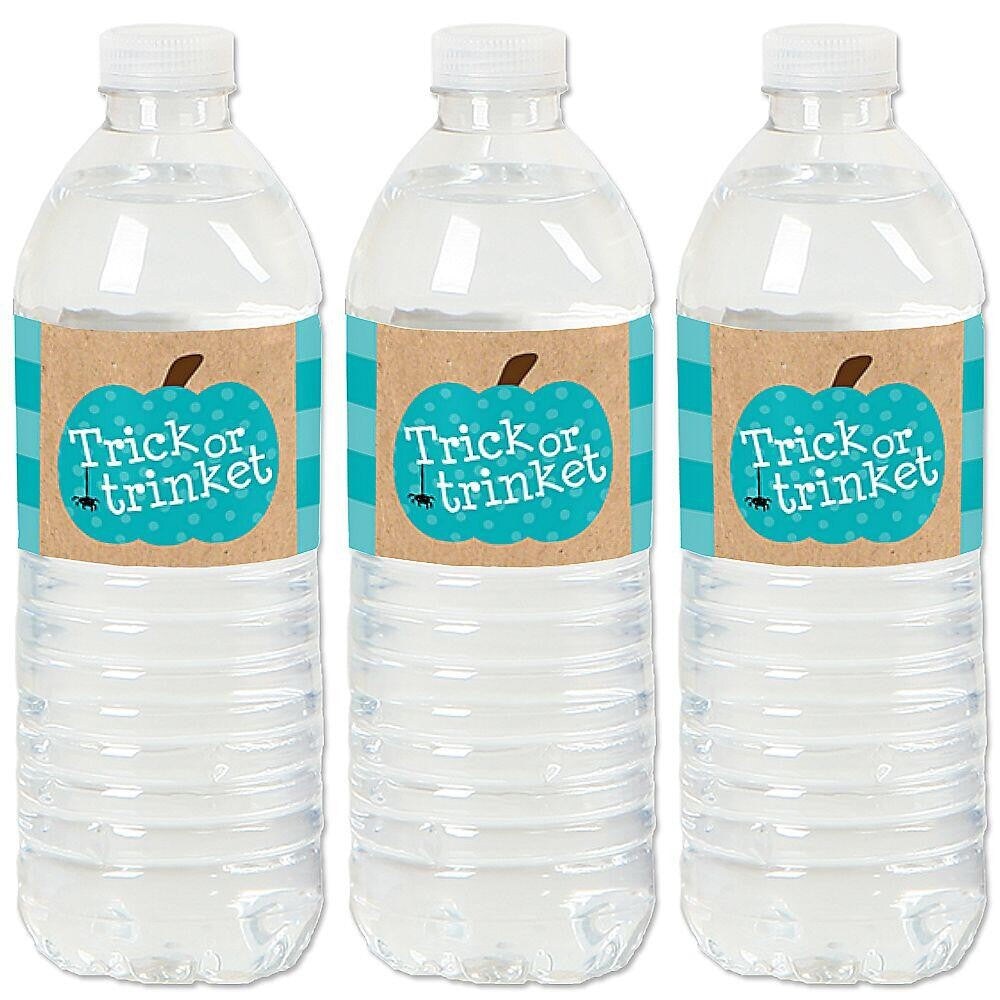 Big Dot of Happiness Teal Pumpkin - Halloween Allergy Friendly Trick or Trinket Water Bottle Sticker Labels - Set of 20