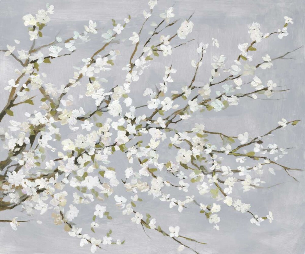 White Blossoms Poster Print by Asia Jensen - Item # VARPDXJN198A