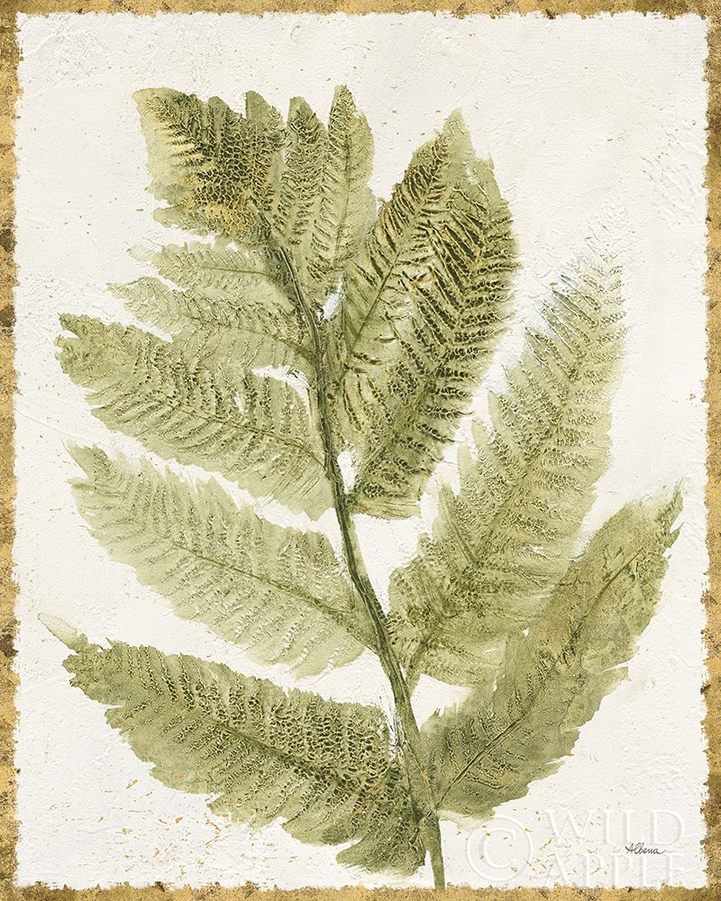 Forest Ferns I Antique Poster Print by Albena Hristova - Item # VARPDX38518