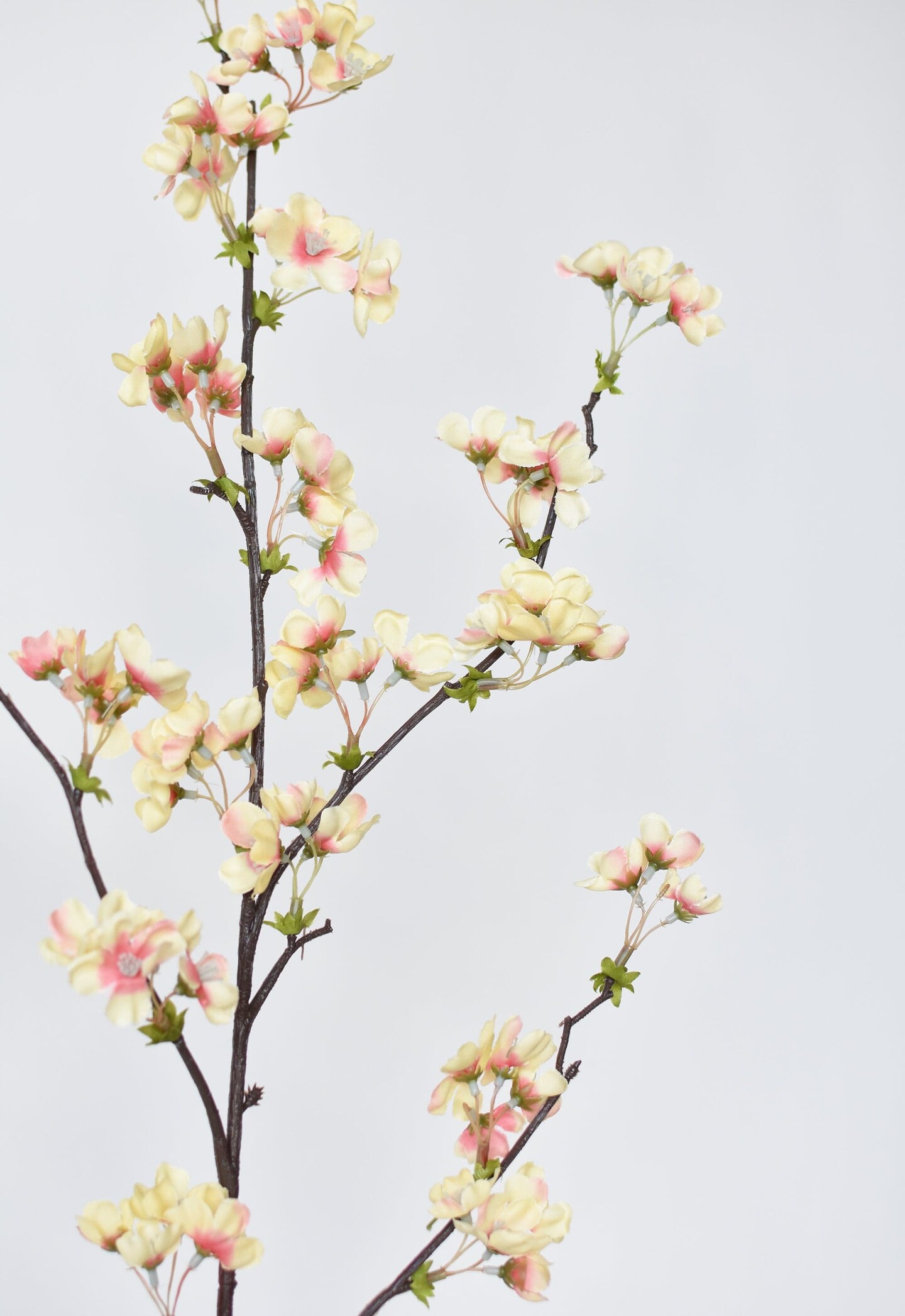 36&#x22; Faux Quince Blossom Apricot Cream Stem Flowering Branch