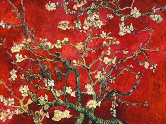 Mandorlo in fiore Poster Print by  Vincent Van Gogh - Item # VARPDX3VG3108