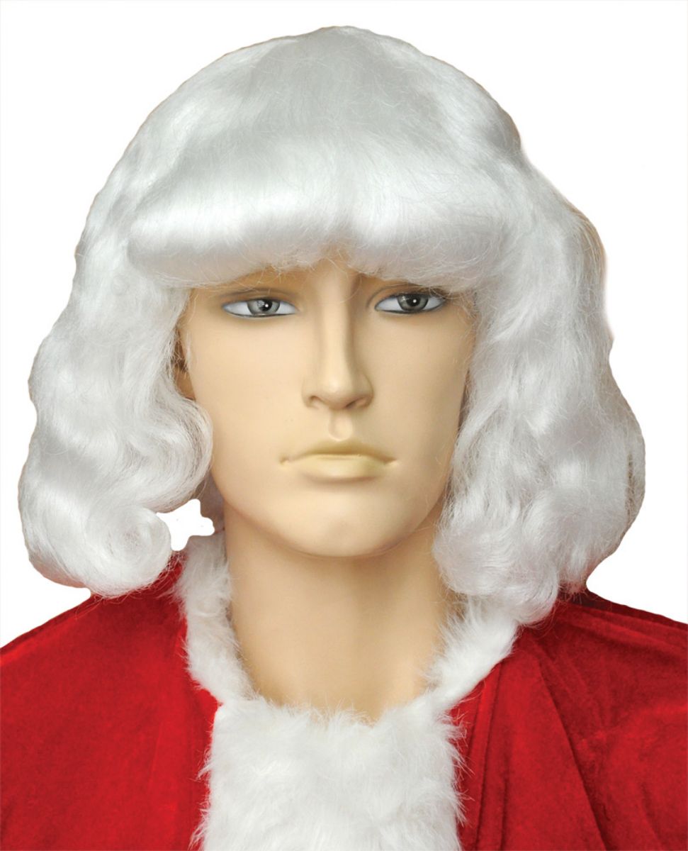 The Costume Center White Men Adult Christmas Santa Wig Costume Accessory - One size