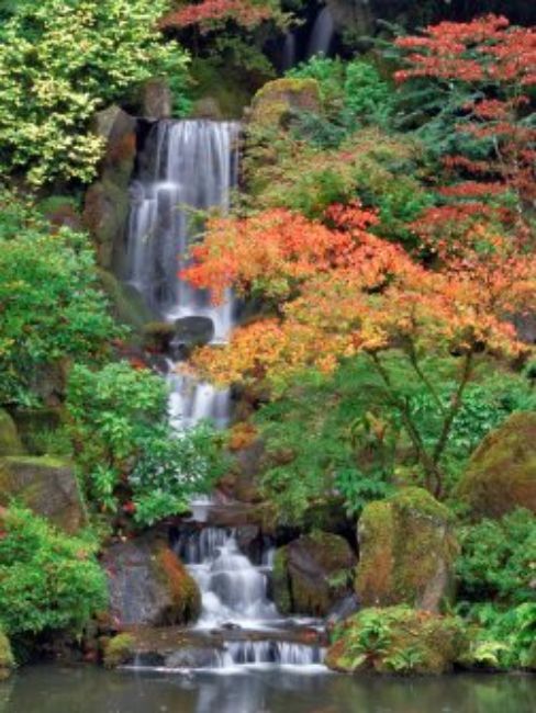 Outdoor Living and Style Green and White Fall Color with Waterfall Outdoor Canvas Rectangular Wall Art Decor 40&#x22; x 30&#x22;