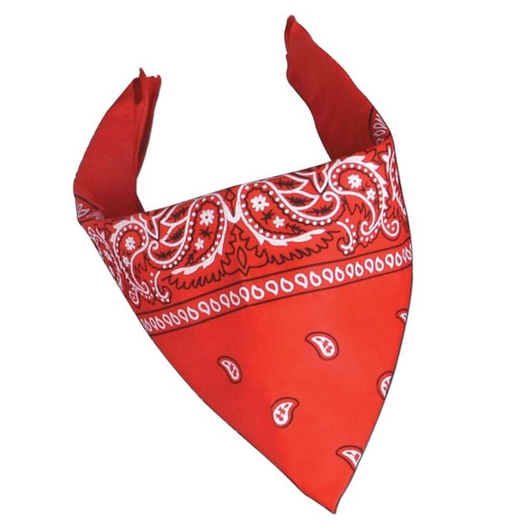 Beistle Club Pack of 12 Red and White Western Paisley Bandana Costume Accessories 22"