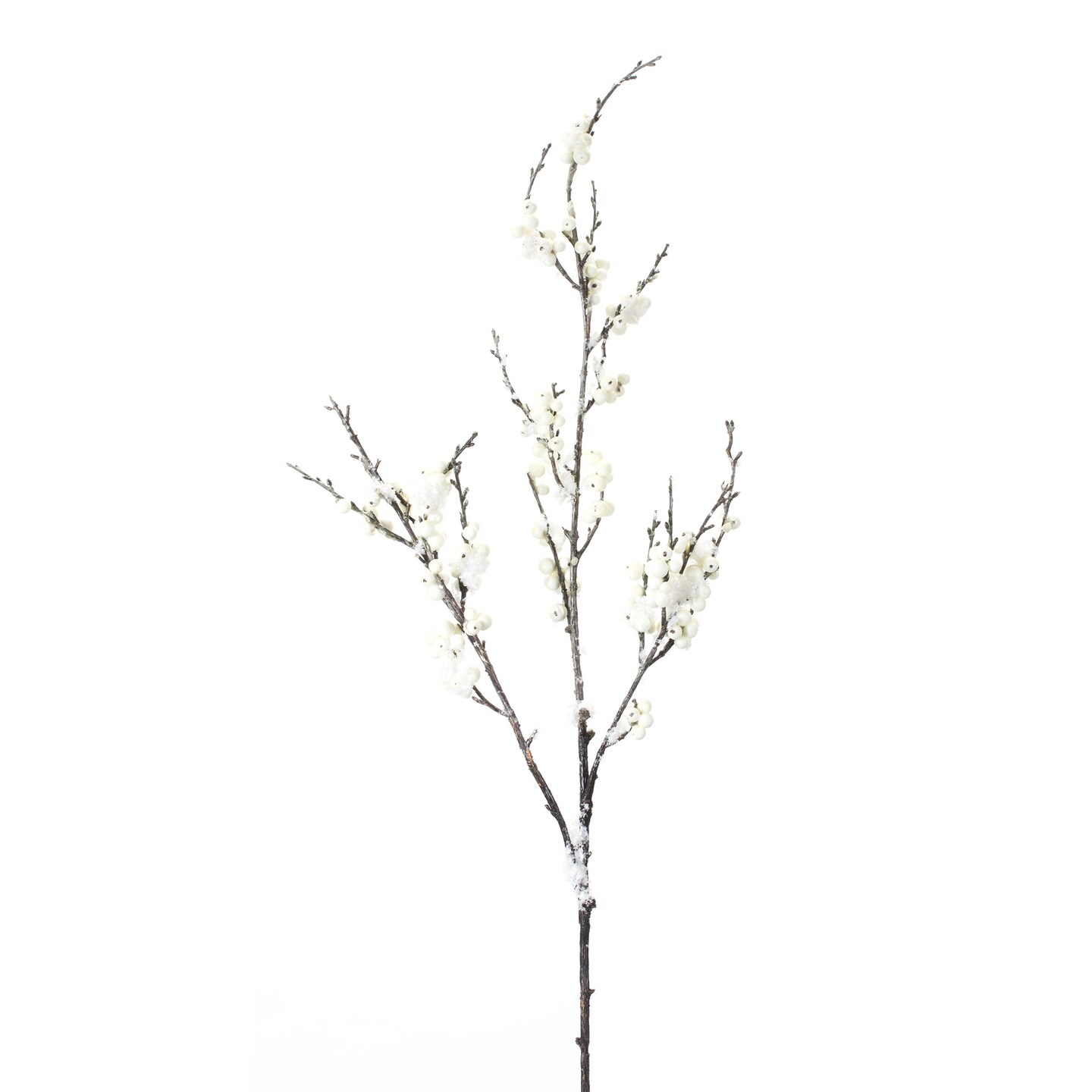 Contemporary Home Living Set of 12 White and Brown Snow Berry Branch 30&#x201D; H