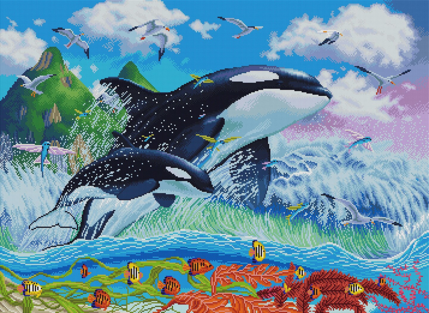 Jumping Orcas
