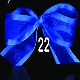 The Ribbon People Royal Blue Solid Edged Craft Ribbon 0.5" x 30 Yards