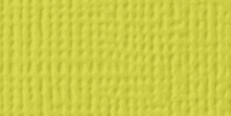 American Crafts 80lb Textured Cardstock 12&#x22;X12&#x22;-Limeade