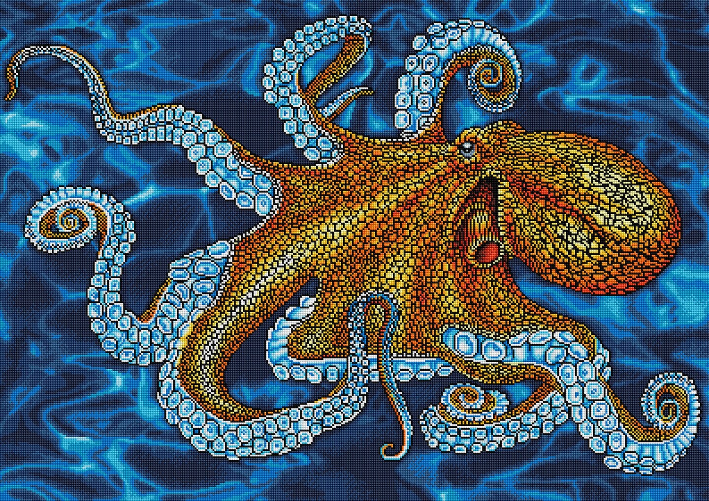 Octopus