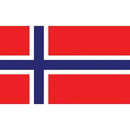 Norway Flag with Grommets 2ft x 3ft