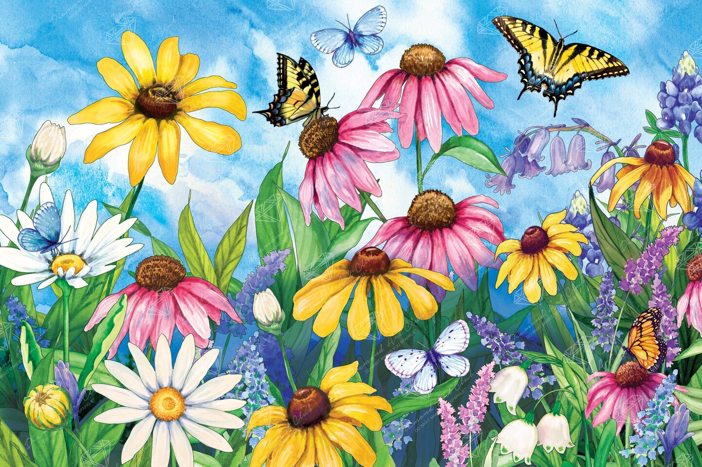 Wildflowers Butterflies