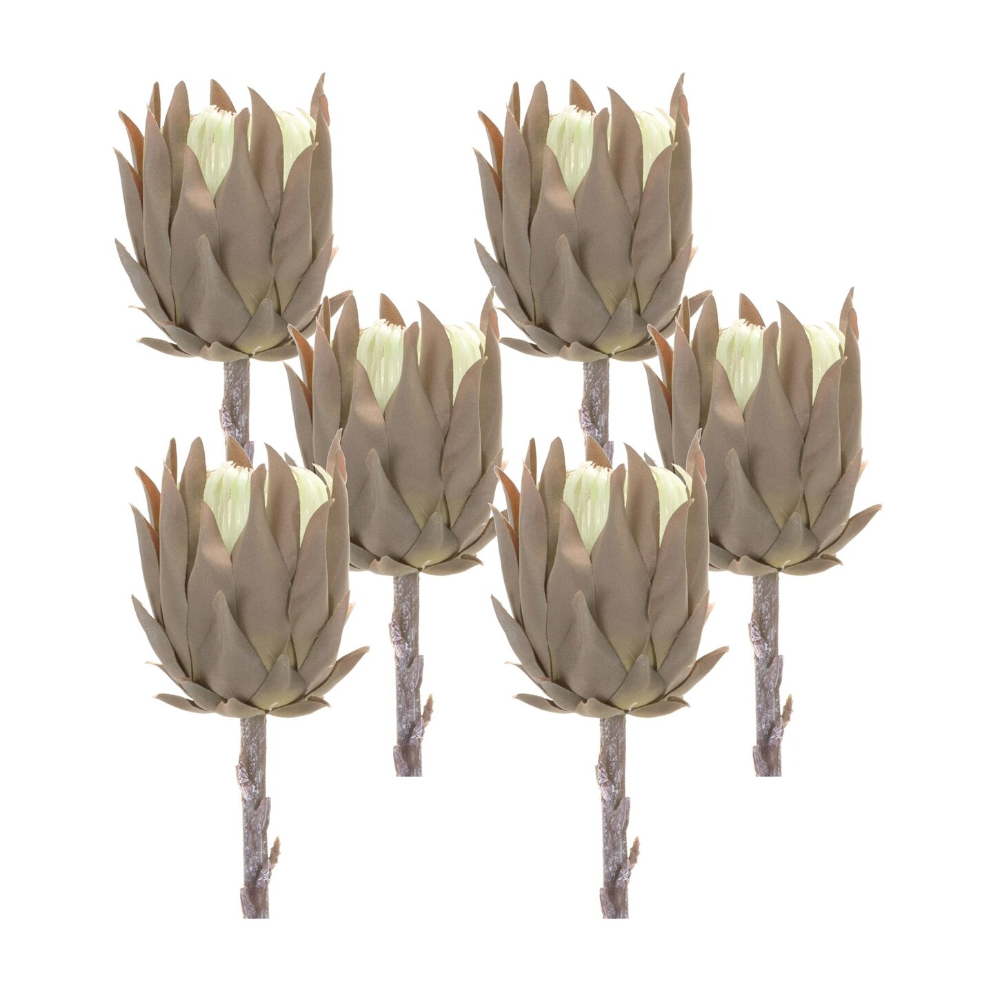Melrose Set of 6 Protea Floral Artificial Stems 20&#x22;