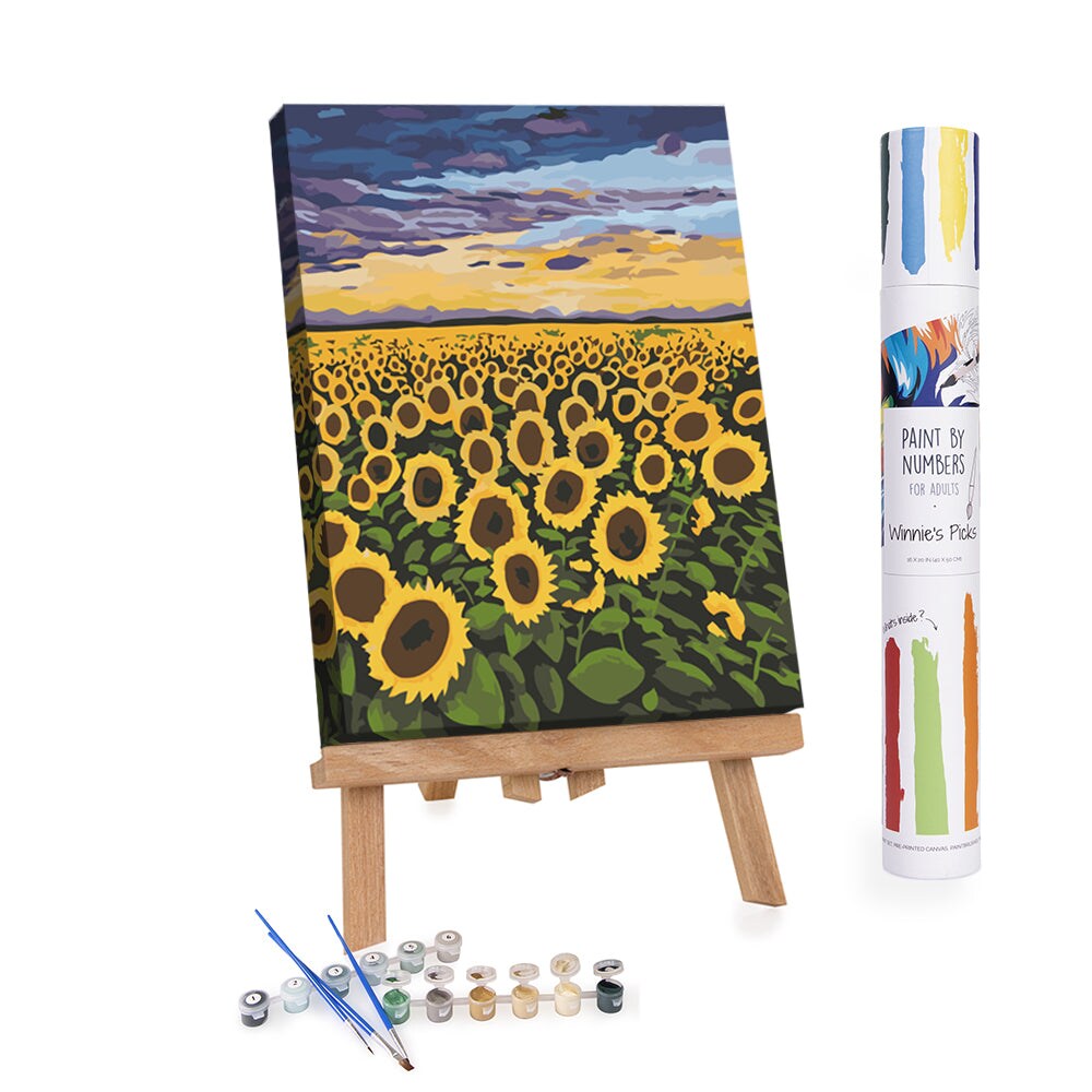 Golden Horizon: Sunset Sunburst Paint by Numbers - 16x20in - Ships from California, USA