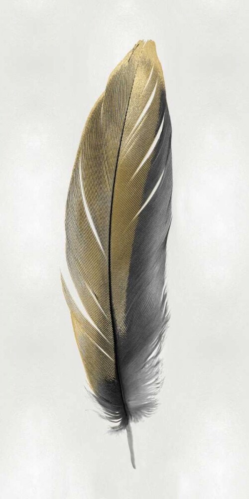 Gold Feather on Silver II Poster Print by Julia Bosco # JBC114219