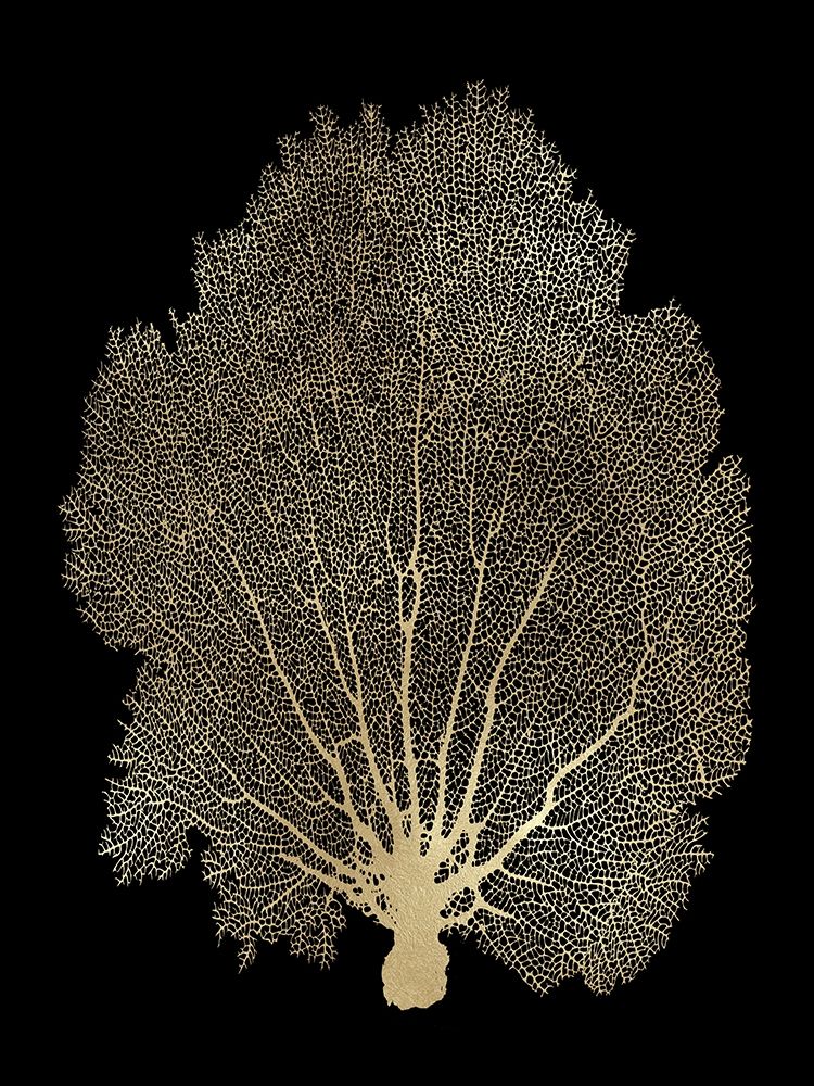 Sea Fan Gold on Black II Poster Print by Melonie Miller # MMR116760