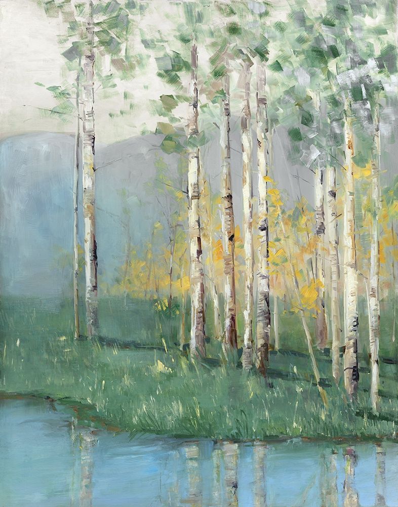 Birch Poster Print by Sally Swatland - Item # VARPDX19856