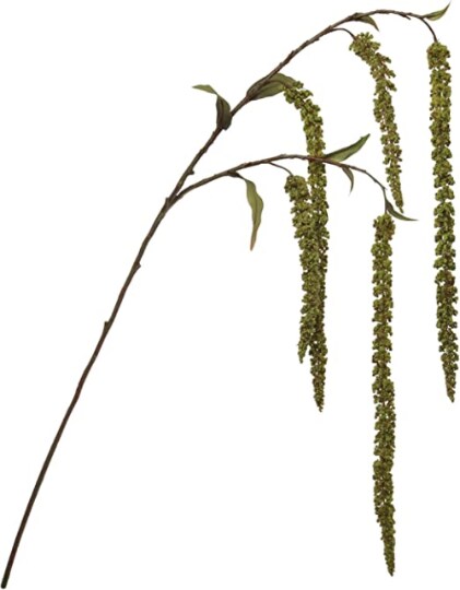 48-Pack: Hanging Green Amaranthus Spray by Floral Home&#xAE;